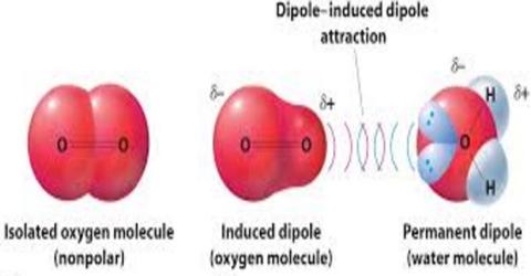 Induced Dipole Forces