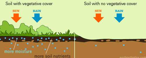 Climate Soil Forming Factor QS Study