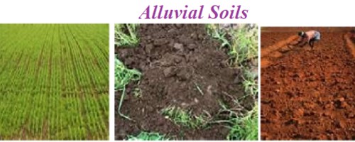 Alluvial Soils In Indian Subcontinent QS Study