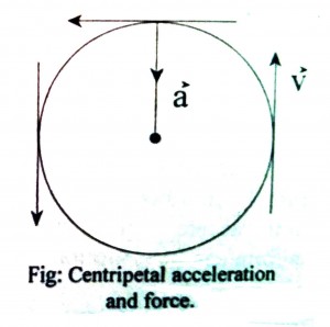 What is centripetal acceleration and centripetal force? - QS Study