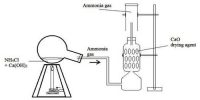 Lab preparation of Ammonia