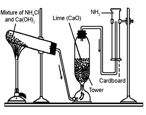 lab preparation of ammonia