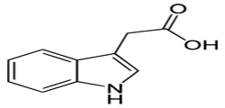 Indole -3 acetic acid