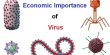 Economic Importance of Virus
