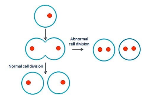 Abnormal Cell Division