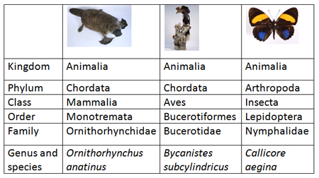 Binomial Nomenclature - QS Study