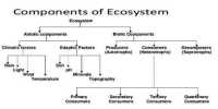 Components of Ecology