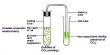 Experiment of Anaerobic Respiration