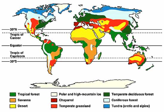 Describe Major Eco-systems - QS Study