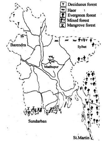 pleistocene uplands in bangladesh 1