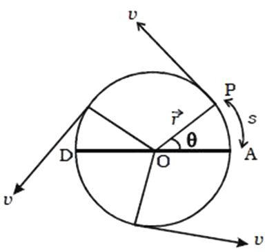 Uniform Circular Motion