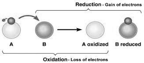 Oxidation and Reduction 1