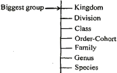 Taxonomic Category