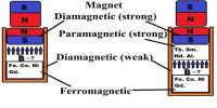 Explain Properties of Diamagnetic Substances