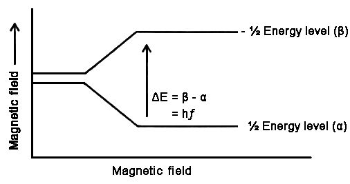 Magnetic Resonance Imaging 2