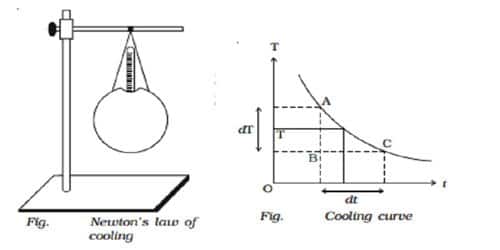 Newton's Law of Cooling 1