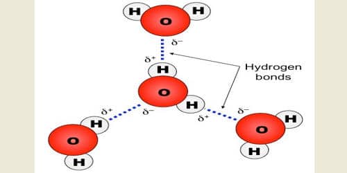 What are the Effects of Hydrogen Bond on the Properties of Compounds?