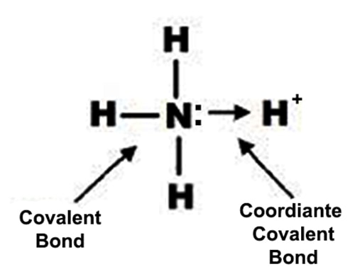 Lewis Dot Structure For Ammonia