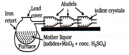 manufacture-of-iodine-from-sea-weeds