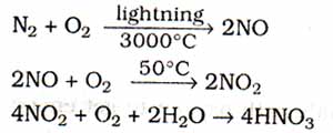 Nitrugen Cycle Reaction