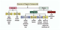Sources of Organic Compounds