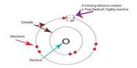 Differences between free radical and ionic reactions