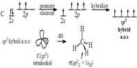 Point out Conditions of Hybridization