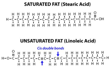 Pointout Specialized type of Unsaturation - QS Study