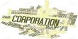 Define and Describe on Statutory Corporations