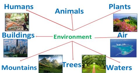 Causes of Environment Pollution