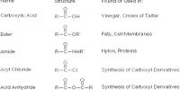Uses of Different Acids and Their Derivatives