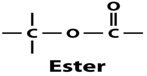 What are Esters?