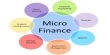 Micro-credit Finance in Bangladesh