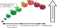 Physiology of Production of Fruits and Seeds