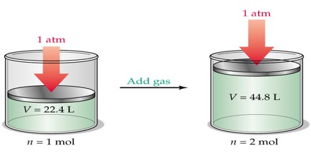 what is avogadro's hypothesis in chemistry