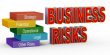 Nature of Business Risks