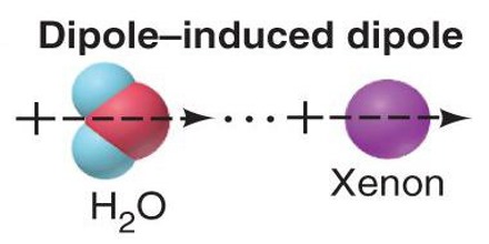 Dipole-Induced Dipole Force - QS Study