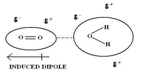Dipole-Induced Dipole Interactions - QS Study