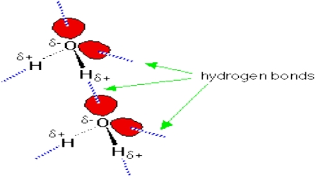 Hydrogen Bonding: Description in terms of Inter-molecular Forces