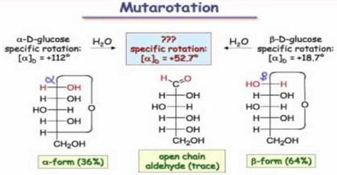 Muta-rotation: Definition and Description