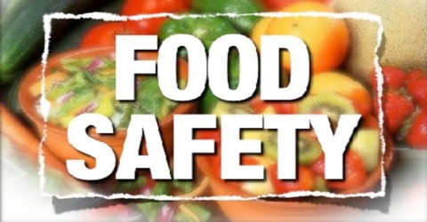 Safe Food and Public Health