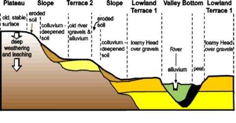 Soil Formation Process