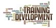 Importance of Training and Development