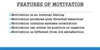 Features of Motivation in in Directing Management