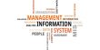 Management Information System for Business Management