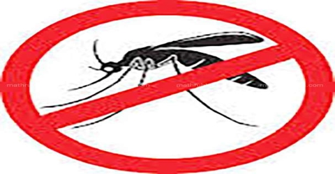 Mosquito Menace