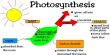 Define Photosynthesis with the Equation of this Process with Explanation