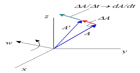 Differentiation of a Vector