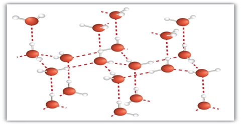 Bonding in Molecular Crystals and their Characteristic
