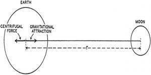 Gravitational Force between the Earth and the Moon - QS Study